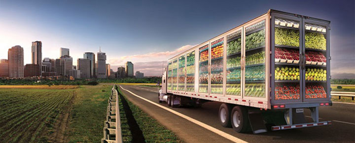 produce-food.jpg